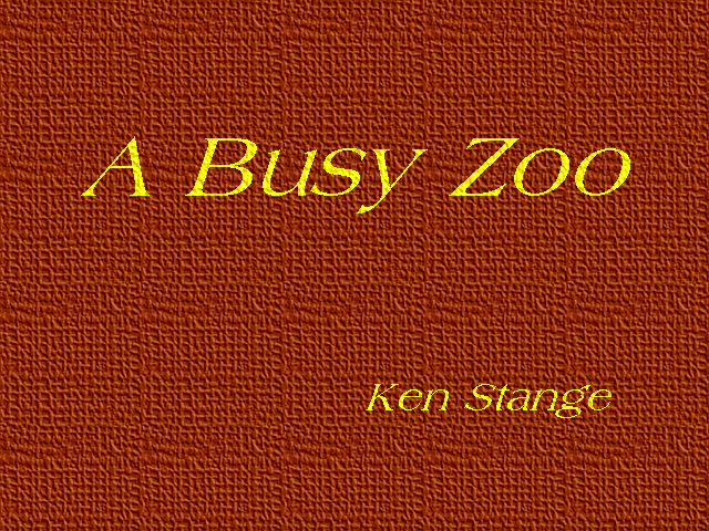 00-A BUSY ZOO